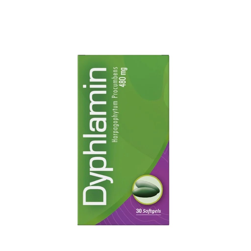 DYPHLAMIN 480 MG STANDARDIZED HARPAGOPHYTUM TO 5% OF HARPAGOSIDE HEALTHY AMERICA