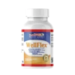 GLUCOSAMINA WELLFLEX  (GLUCO 750MG, CHON 600MG, MSM 250MG) HEALTHY AMERICA