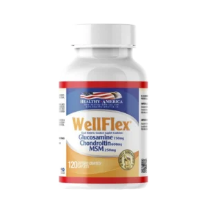 GLUCOSAMINA WELLFLEX  (GLUCO 750MG, CHON 600MG, MSM 250MG) HEALTHY AMERICA